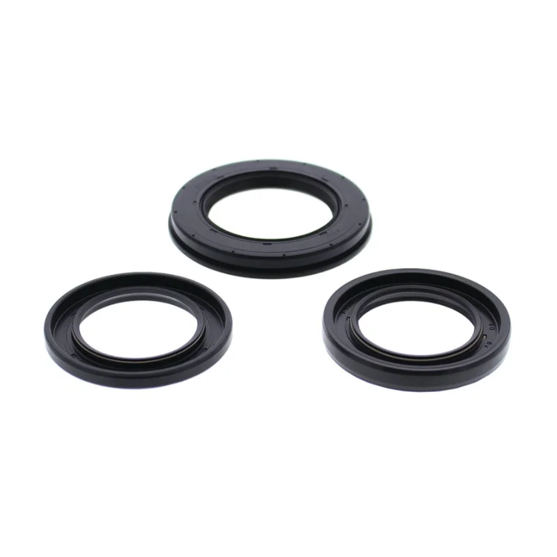 Bicycle gear strap-PWC VERTEX OIL SEAL KIT 622404